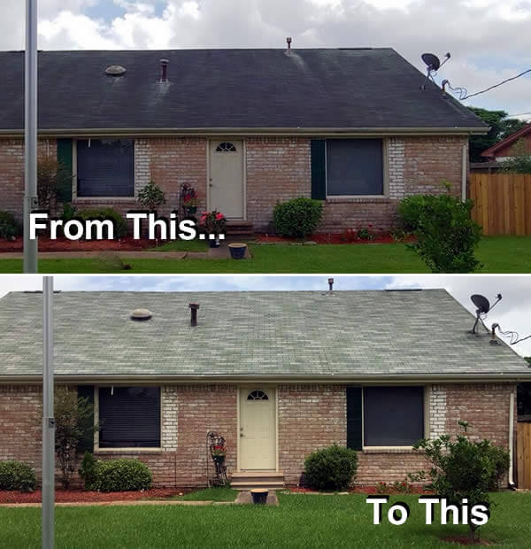Find a Roof Soft Wash Cleaning Company near me