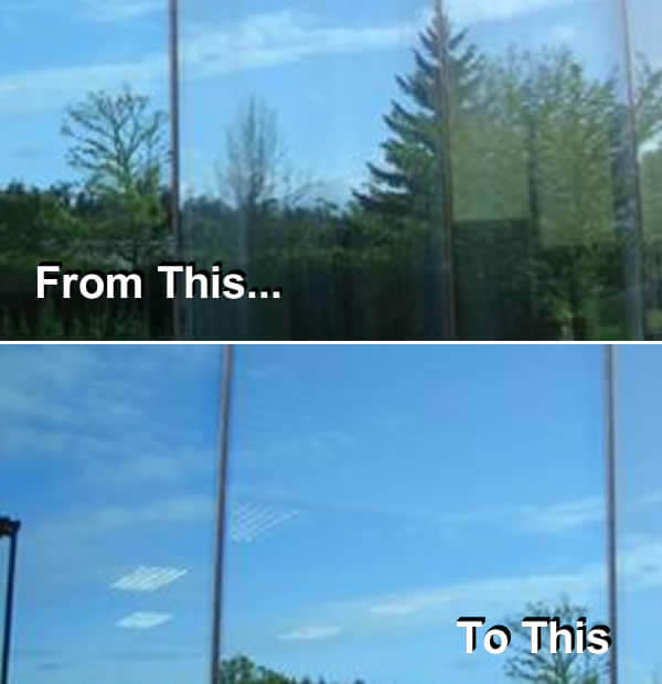 Find a Window Cleaning Service Company near me